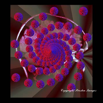 mindscape art gallery image