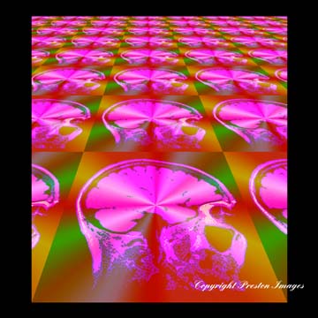 mindscape art gallery image